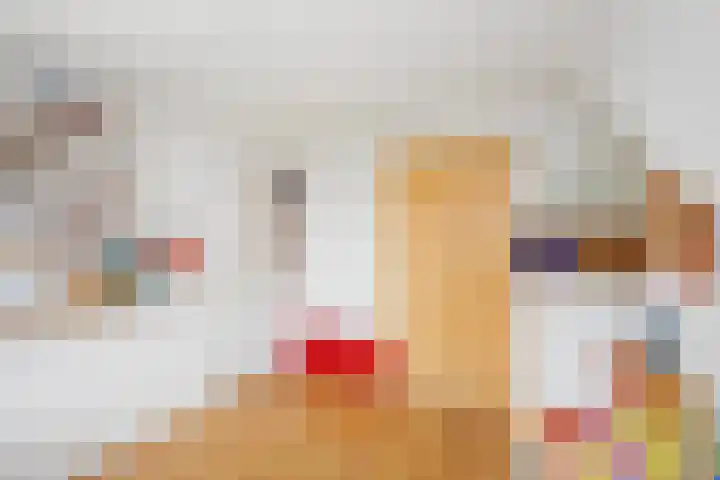 Van Vegtenplantsoen 7 Koudekerk aan den Rijn thumbnail 43