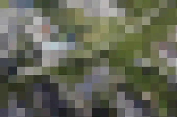 Van Vegtenplantsoen 7 Koudekerk aan den Rijn thumbnail 44