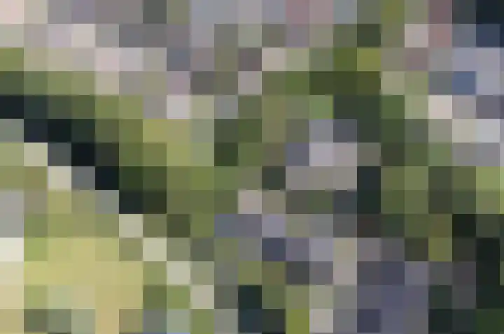 Van Vegtenplantsoen 7 Koudekerk aan den Rijn thumbnail 45