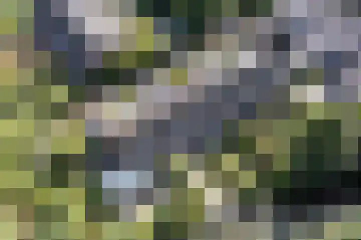 Van Vegtenplantsoen 7 Koudekerk aan den Rijn thumbnail 46