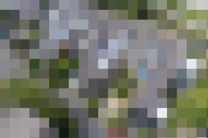 Van Vegtenplantsoen 7 Koudekerk aan den Rijn thumbnail 47