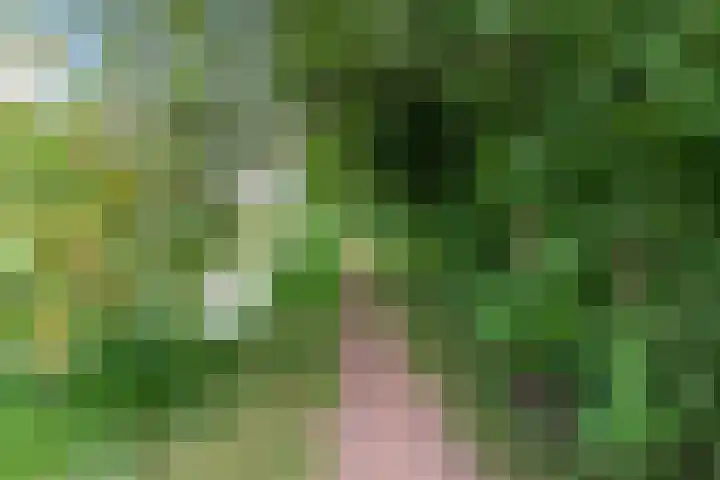 Van Vegtenplantsoen 7 Koudekerk aan den Rijn thumbnail 48
