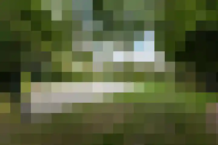 Van Vegtenplantsoen 7 Koudekerk aan den Rijn thumbnail 49