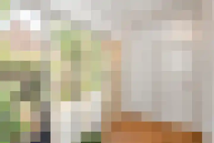 Van Vegtenplantsoen 7 Koudekerk aan den Rijn thumbnail 6