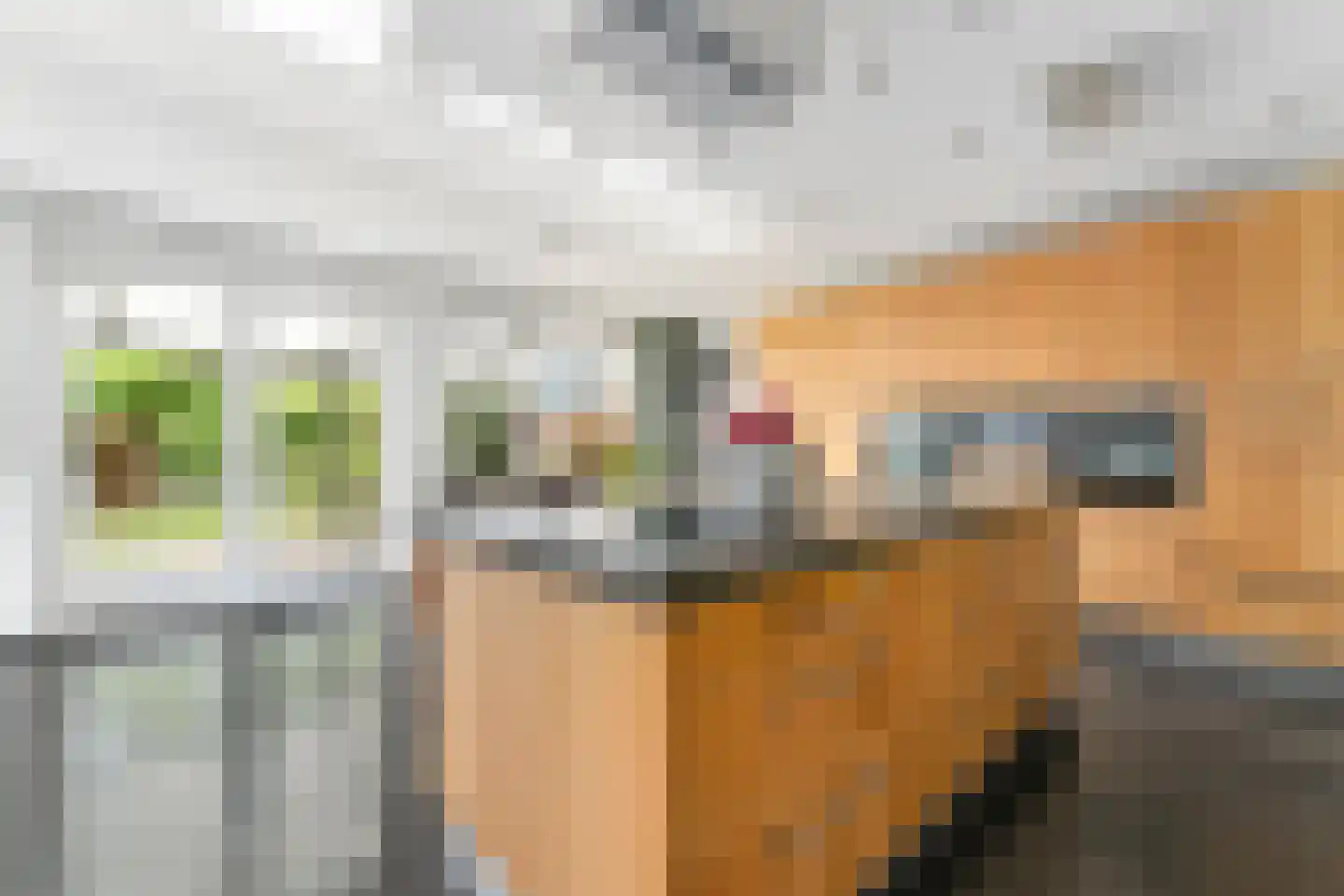 Van Veldekelaan 10 Geleen thumbnail 11