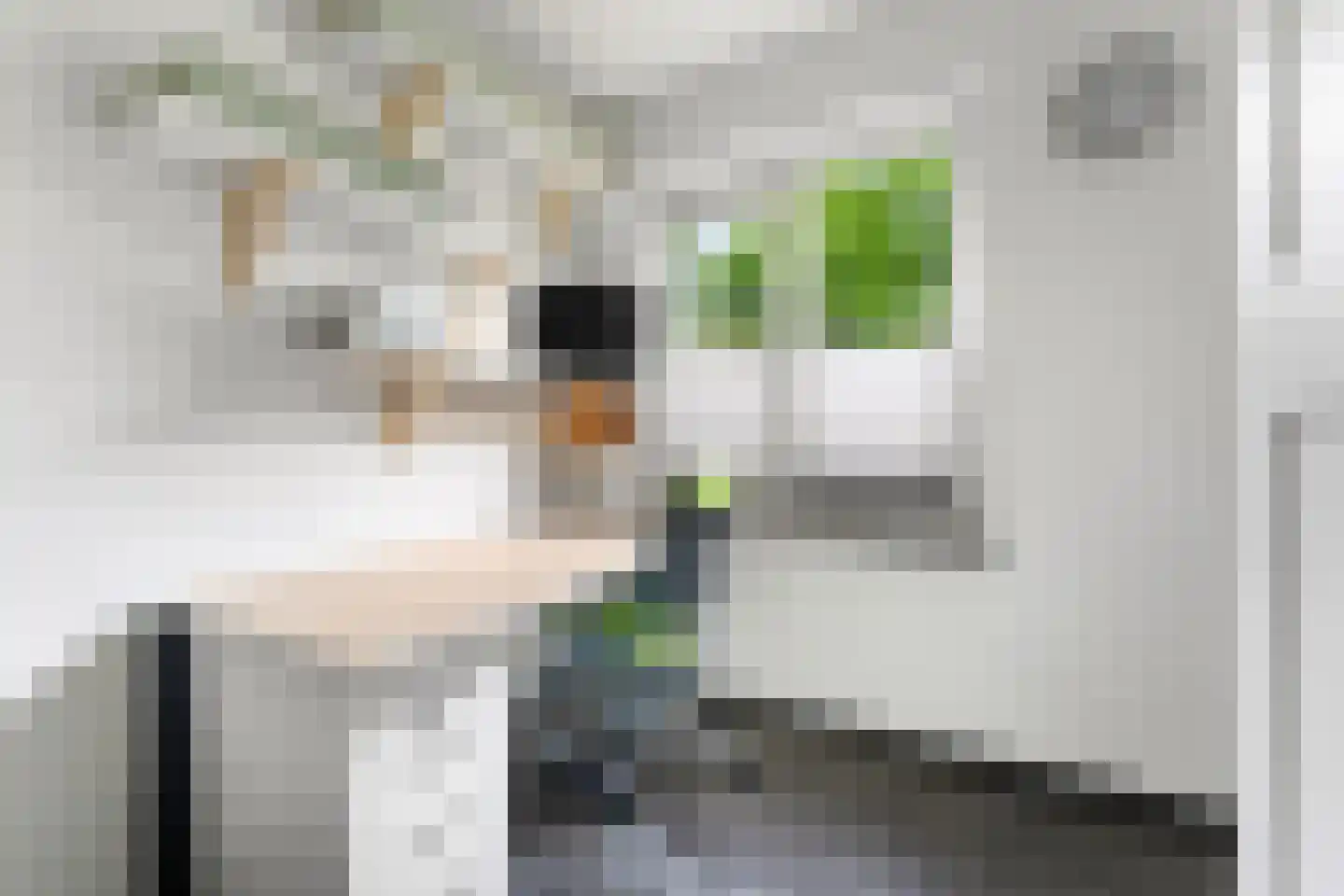 Van Veldekelaan 10 Geleen thumbnail 14