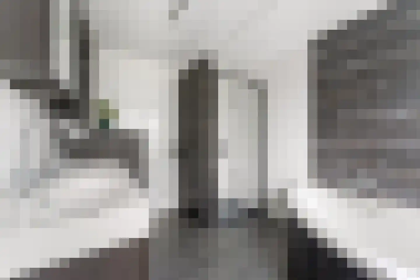 Van Veldekelaan 10 Geleen thumbnail 23
