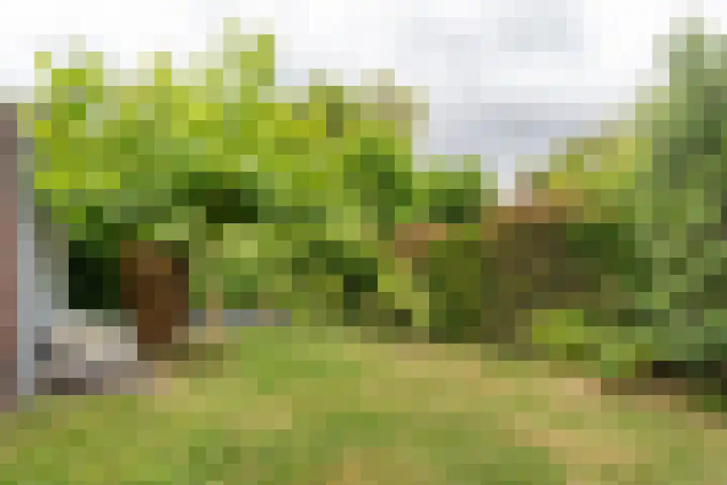 Van Veldekelaan 10 Geleen thumbnail 31