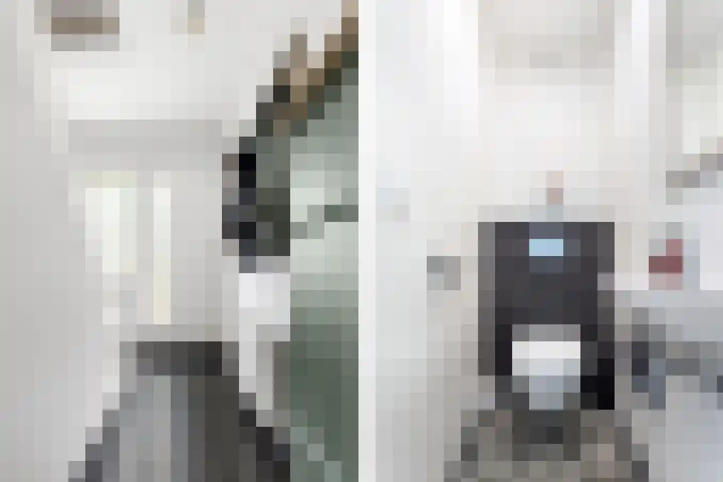 Van Veldekelaan 10 Geleen thumbnail 5
