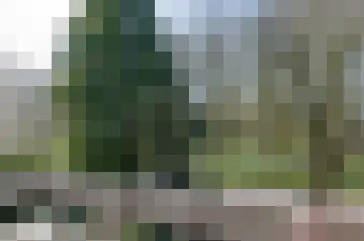 Van Veldekelaan 11 Haren Gn thumbnail 31