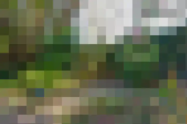 Van Veldekelaan 11 Haren Gn thumbnail 4
