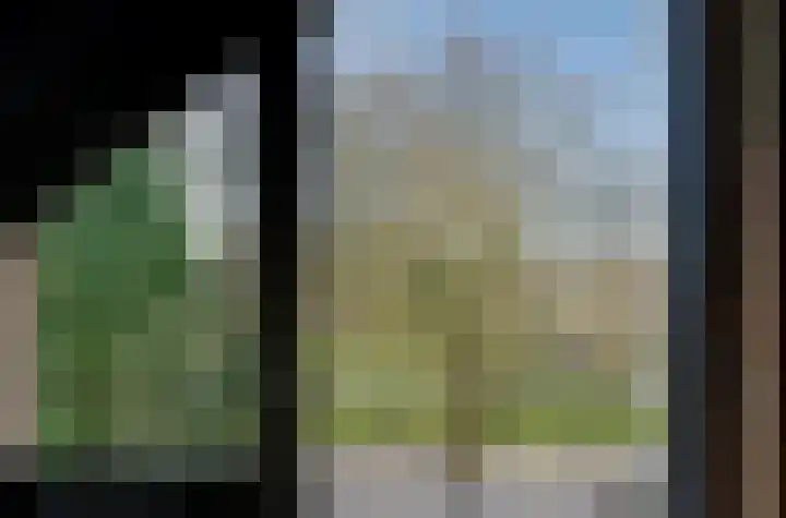 Van Veldekelaan 11 Haren Gn thumbnail 47