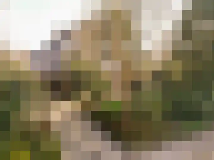 Van Veldekelaan 11 Haren Gn thumbnail 6