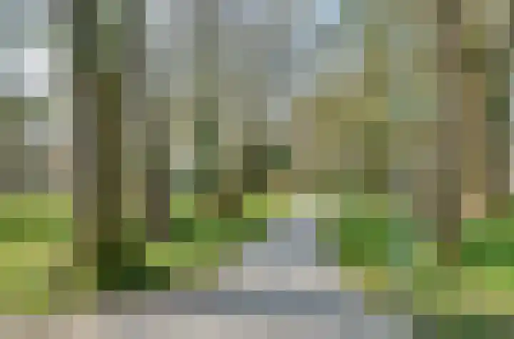 Van Veldekelaan 11 Haren Gn thumbnail 61