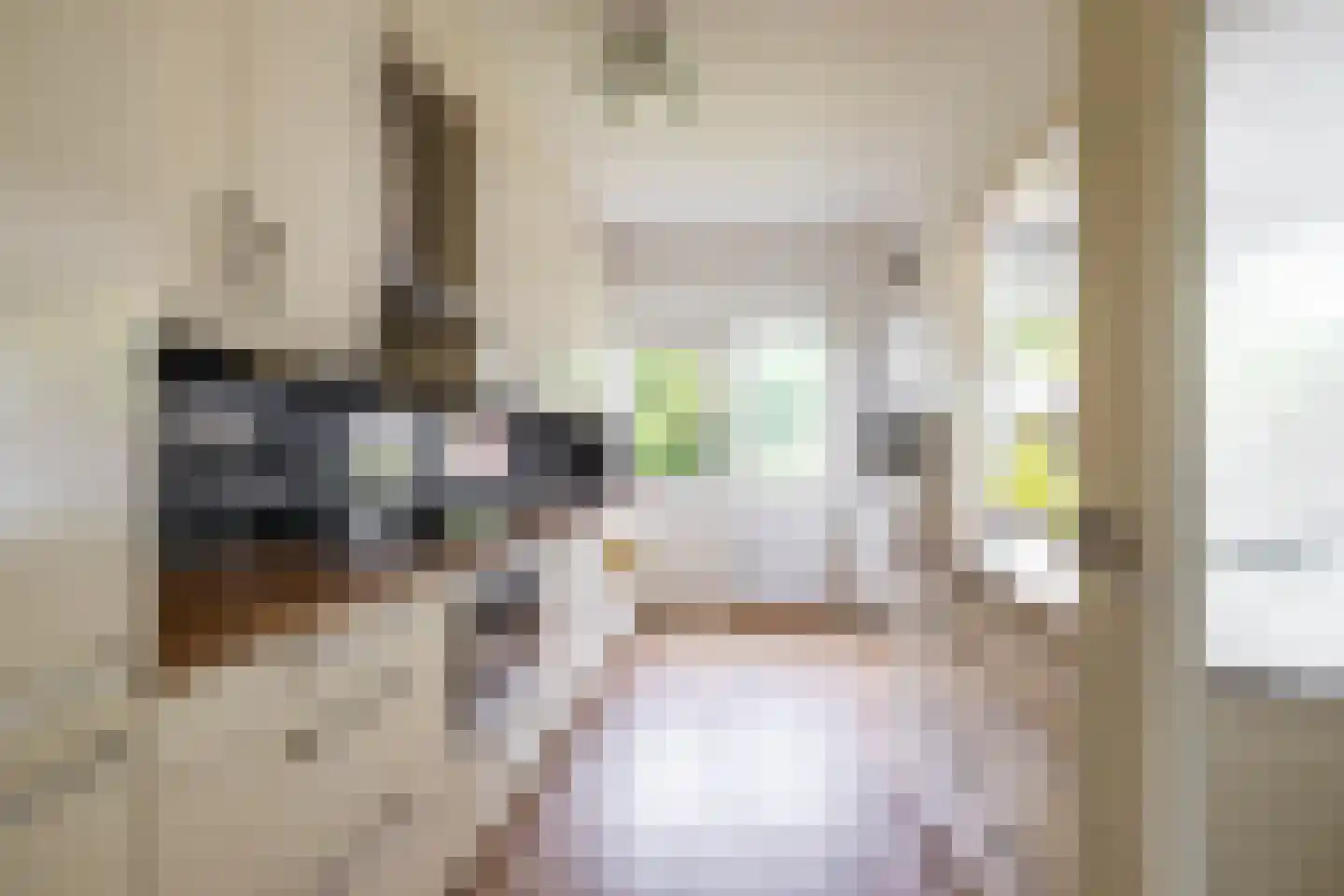 Van Veldekelaan 2 Haren Gn thumbnail 18