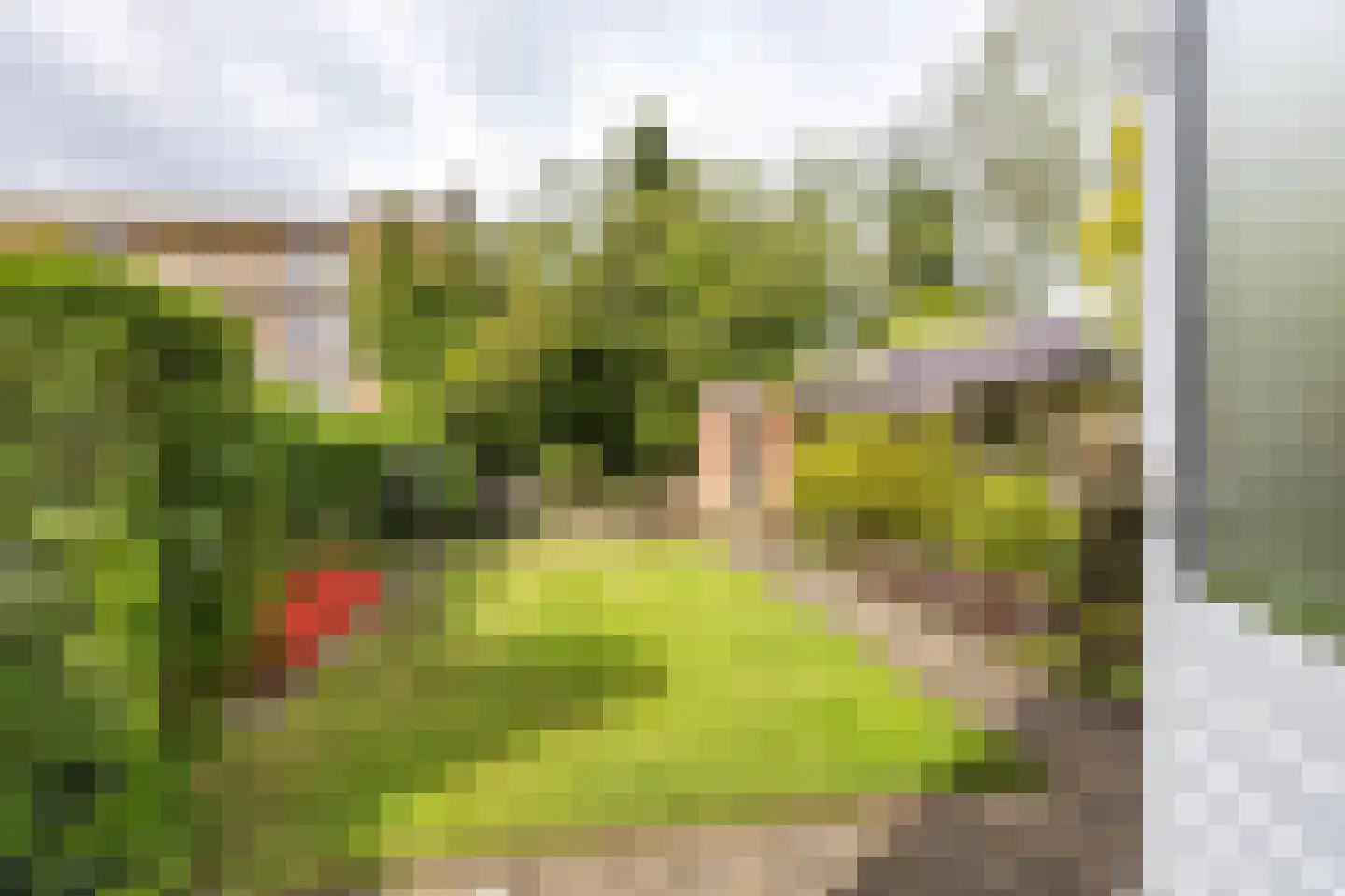 Van Veldekelaan 2 Haren Gn thumbnail 45