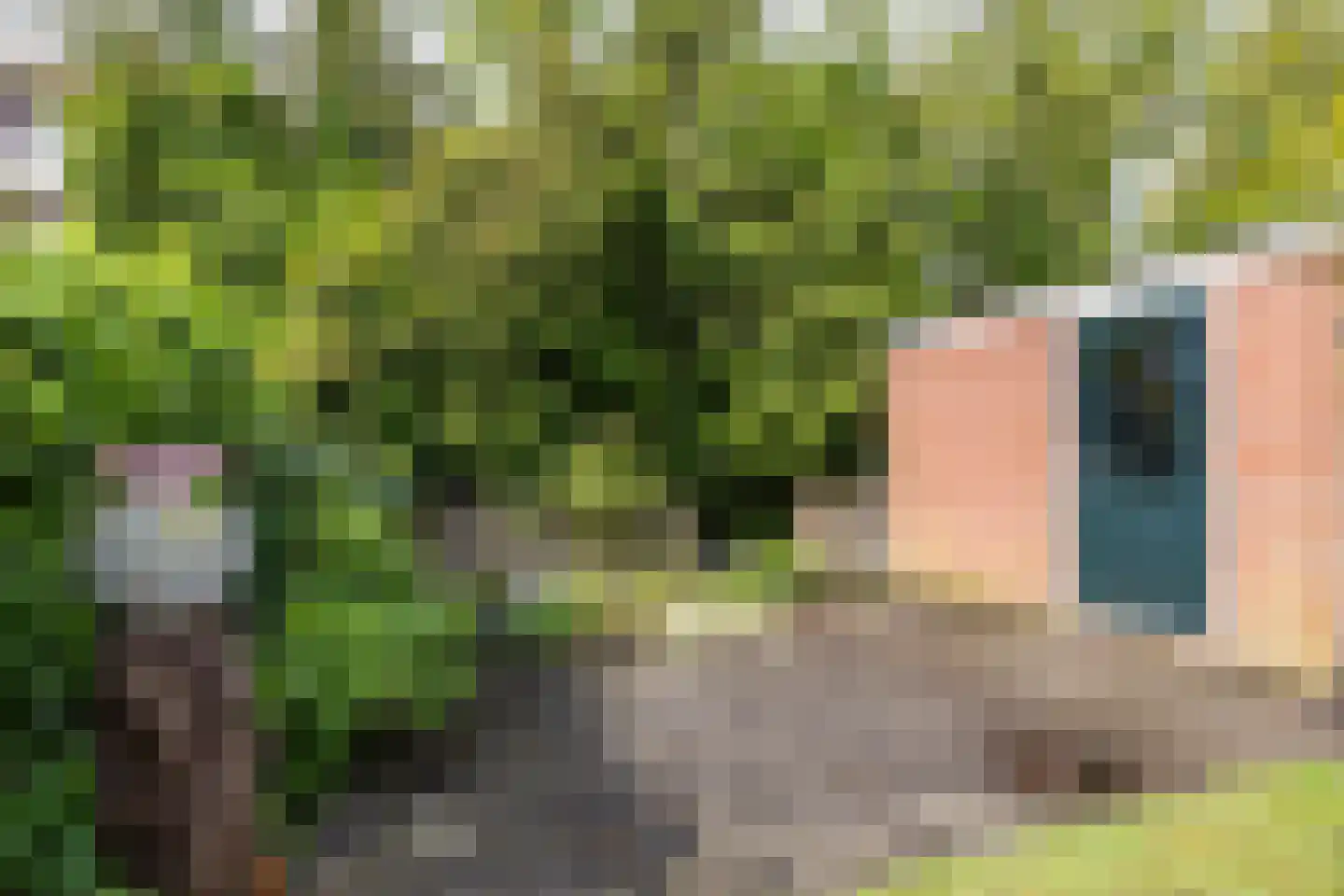 Van Veldekelaan 2 Haren Gn thumbnail 47