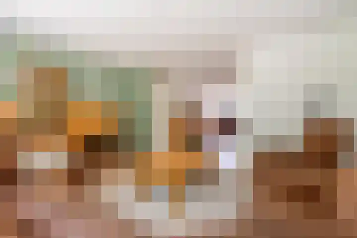 Van Veldekelaan 2 Veenendaal thumbnail 10