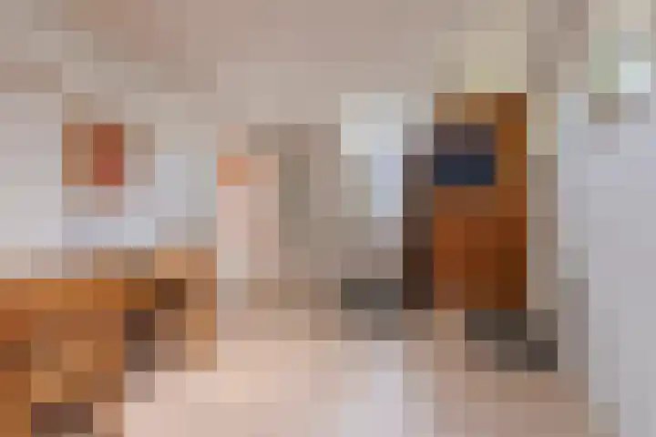 Van Veldekelaan 2 Veenendaal thumbnail 20