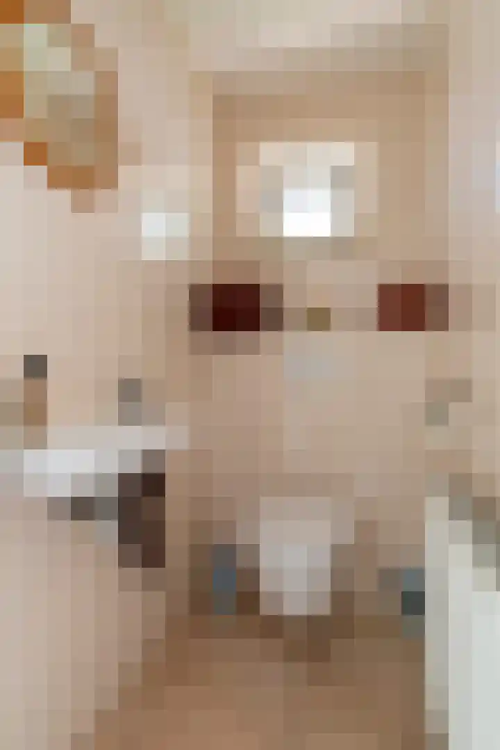 Van Veldekelaan 2 Veenendaal thumbnail 21