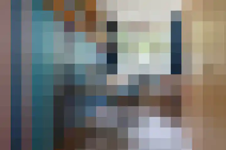 Van Veldekelaan 2 Veenendaal thumbnail 24