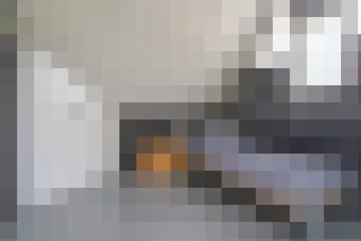 Van Veldekelaan 2 Veenendaal thumbnail 33