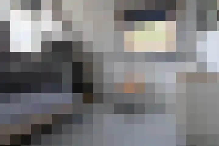Van Veldekelaan 2 Veenendaal thumbnail 34