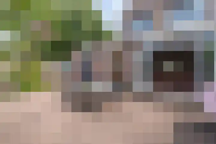 Van Veldekelaan 2 Veenendaal thumbnail 39