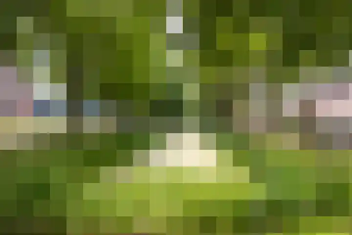 Van Veldekelaan 2 Veenendaal thumbnail 4