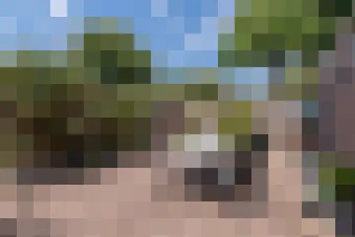 Van Veldekelaan 2 Veenendaal thumbnail 40