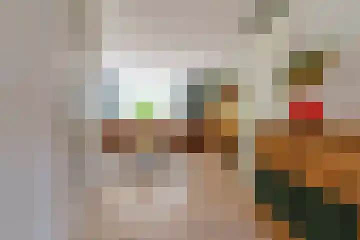 Van Veldekelaan 2 Veenendaal thumbnail 7