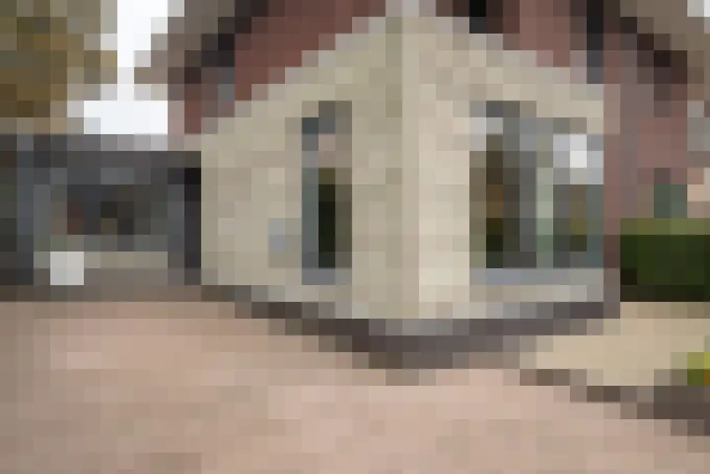 Van Veldekelaan 33 Haren Gn thumbnail 13