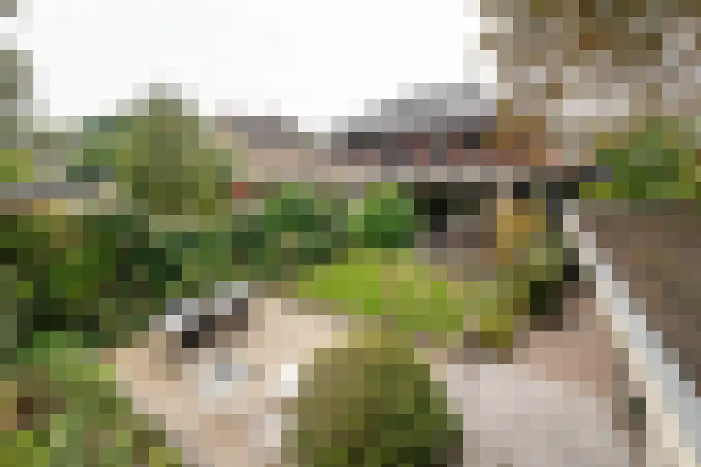 Van Veldekelaan 33 Haren Gn thumbnail 5
