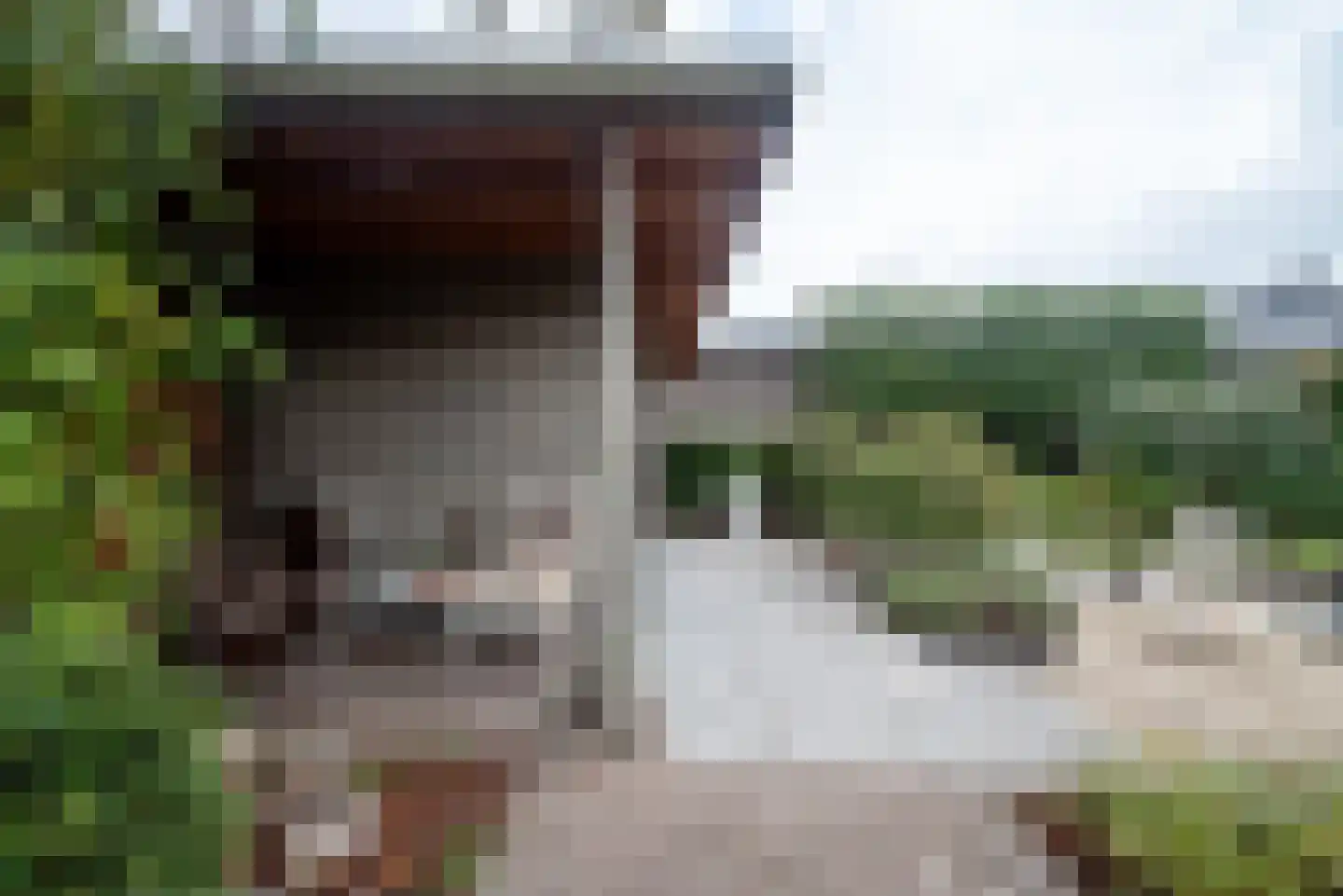 Van Veldekelaan 33 Haren Gn thumbnail 61