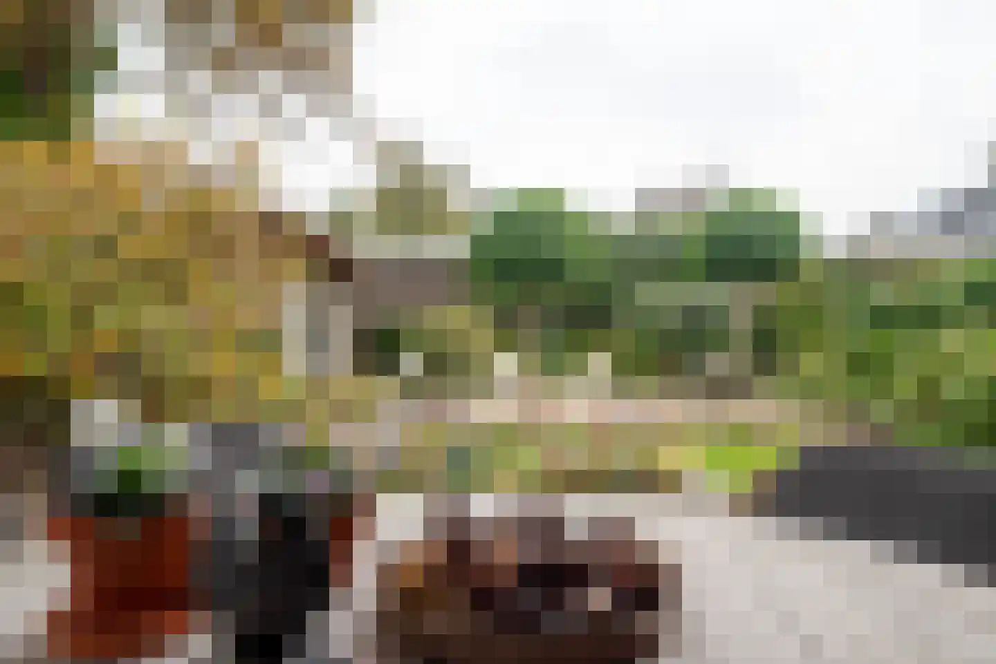 Van Veldekelaan 33 Haren Gn thumbnail 62