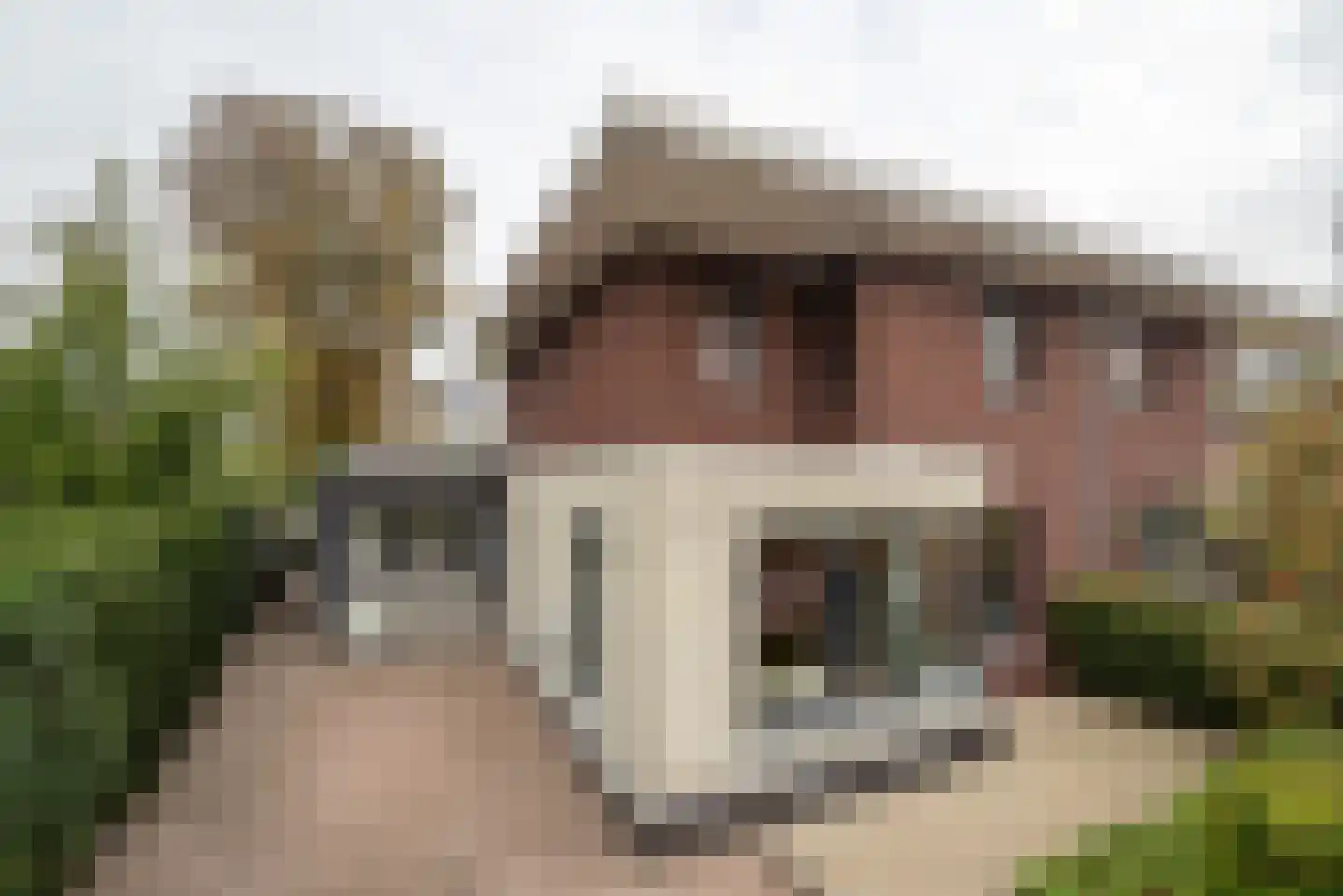 Van Veldekelaan 33 Haren Gn thumbnail 8