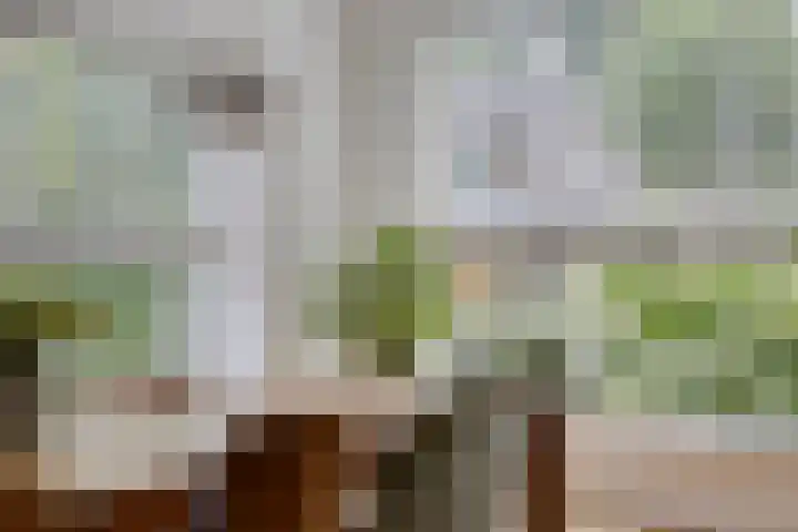 Van Veldekestraat 2 Nuenen thumbnail 10