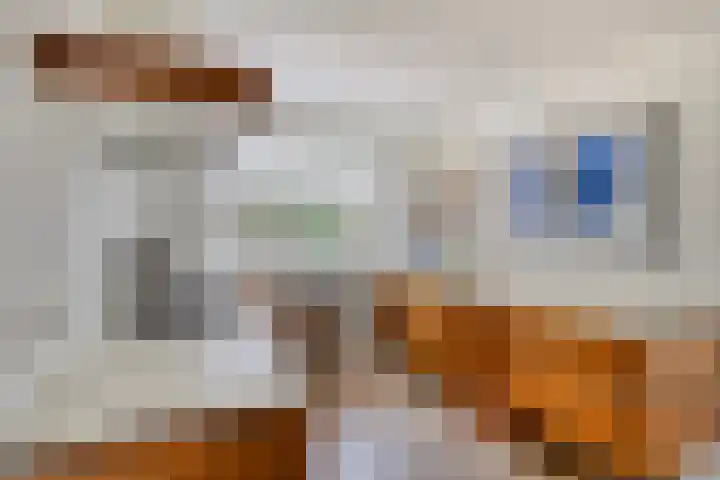 Van Veldekestraat 2 Nuenen thumbnail 12