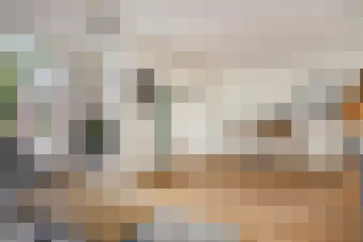 Van Veldekestraat 2 Nuenen thumbnail 17