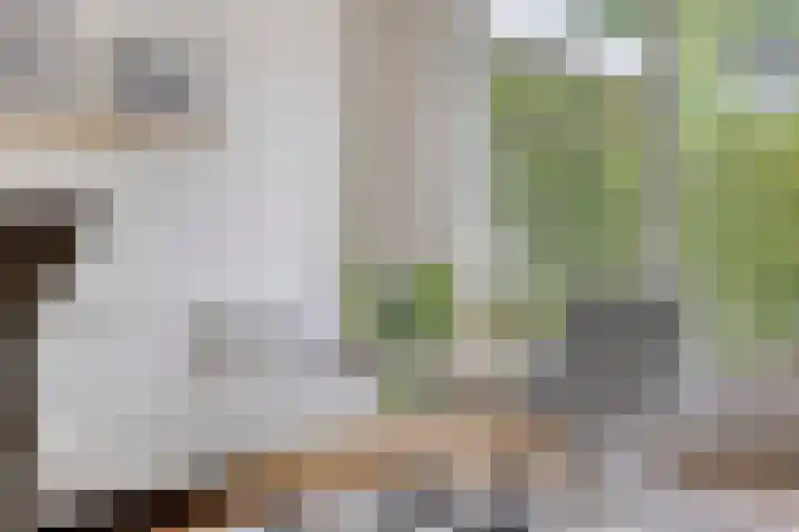 Van Veldekestraat 2 Nuenen thumbnail 21