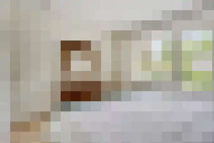 Van Veldekestraat 2 Nuenen thumbnail 28