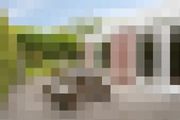 Van Veldekestraat 2 Nuenen thumbnail 40