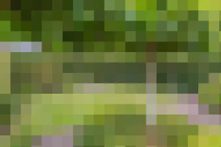 Van Veldekestraat 2 Nuenen thumbnail 42