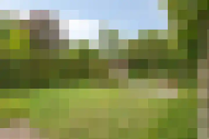 Van Veldekestraat 2 Nuenen thumbnail 43