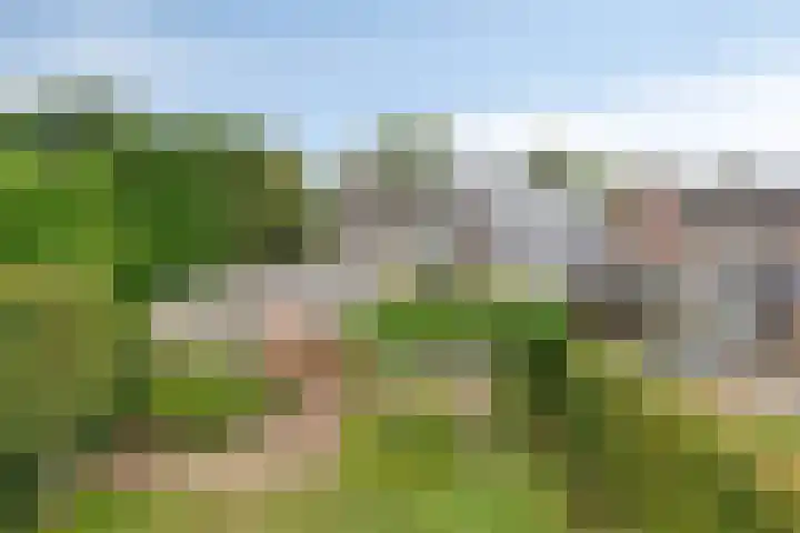 Van Veldekestraat 2 Nuenen thumbnail 46