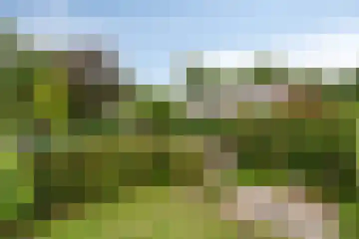 Van Veldekestraat 2 Nuenen thumbnail 47