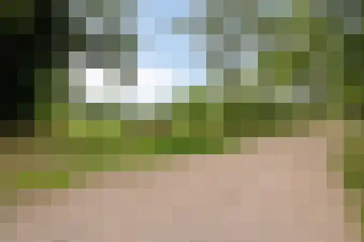 Van Veldekestraat 2 Nuenen thumbnail 48