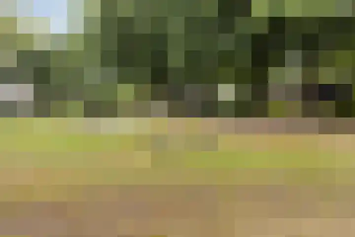 Van Veldekestraat 2 Nuenen thumbnail 49