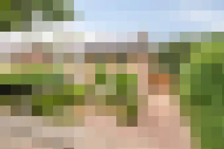 Van Veldekestraat 2 Nuenen thumbnail 5