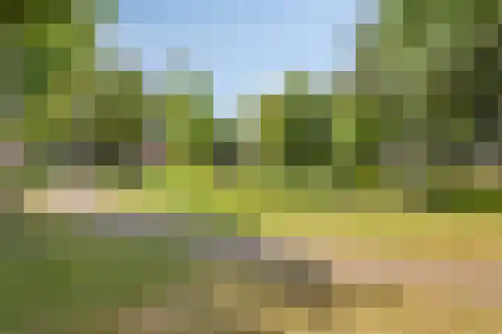 Van Veldekestraat 2 Nuenen thumbnail 50